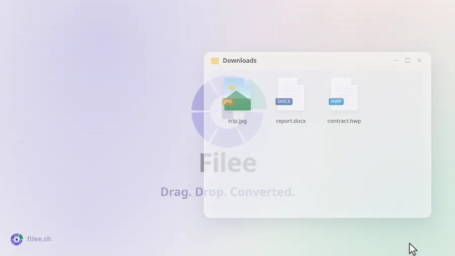 Filee 软件截图